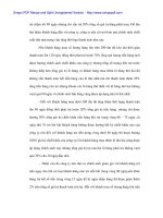 Những giải pháp phát triển thị trường sản phẩm nhựa đường của Cty Thương mại và xây dựng - 9 pot