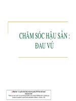CHĂM SÓC HẬU SẢN pot