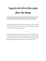 Nguyên tắc bố trí tiểu cảnh gầm cầu thang pdf