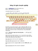 bằng 10 ngón chuyên nghiệp potx