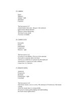 analogies and antonym practice phần 2 ppt