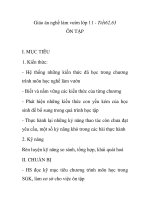 Giáo án nghề làm vườn lớp 11 - Tiết62,63 ÔN TẬP potx