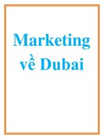 Luận văn: Marketing về Dubai docx