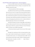 Phân tích hiệu quả sử dụng vốn lưu động tại Cty cổ phần hóa chất Vật liệu điện - 2 potx