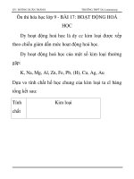 Ôn thi hóa học lớp 9 - BÀI 17: HOẠT ĐỘNG HOÁ HỌC docx