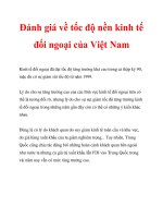 Đánh giá về tốc độ nền kinh tế đối ngoại của Việt Nam pptx