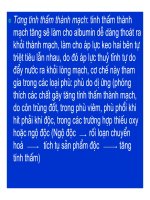 Bài giảng bệnh lý học thú y : Rối loạn chuyển hóa các chất part 10 docx