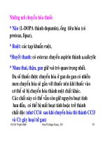 Bài giảng dược lý học part 10 pptx