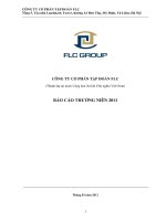 CÔNG TY cổ PHẦN tập đoàn FLC báo cáo THƯỜNG NIÊN 2011