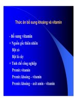 Thức ăn bổ sung cho vật nuôi : Thức ăn bổ sung dinh dưỡng part 8 doc