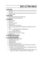 BỘC LỘ TĨNH MẠCH docx