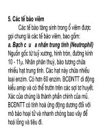 Bài giảng bệnh lý học thú y : Tế bào viêm part 1 ppsx