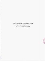 hpt vietnam corporation audited financial statements for the year ended december 31 2008
