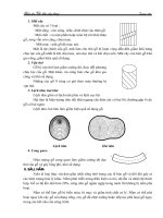 Giáo trình hướng dẫn phân tích hệ số quy đổi cường độ nén của bêtông theo điều kiện nhiệt độ không khí p8 pps