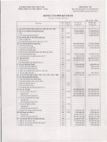 TậP đoàn dệt MAY VIệT NAM TổNG CôNG TY VIệT THắNG CTCP bảng cân đối kế toán tại 30 tháng 6 năm 2012 báo cáo tài chính quý 2 và 6 tháng đầu năm 2012