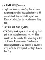 Bài giảng bệnh lý học thú y : Rối loạn tuần hoàn cục bộ part 6 pot