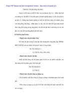 Hoàn tiện phương pháp hạch tóan và phân bổ chi phí sản xuất chung tại Cty CP nhựa Đà Nẵng - 3 pptx