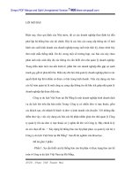 Xây dựng hệ thống báo cáo bộ phận phục vụ quản lý nội bộ tại Cty du lịch - 1 ppt