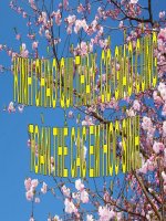 bài 11 tiết 11 liên kết gen và hoán vị gen