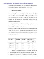 Giải pháp truyền thông cho thẻ Success của Ngân hàng No&PTNT Đà Nẵng - 5 potx