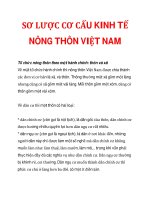 SƠ LƯỢC CƠ CẤU KINH TẾ NÔNG THÔN VIỆT NAM_2 docx