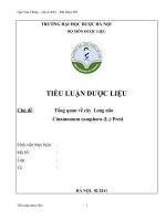 Tổng quan tài liệu về cây long não   cinamomum camphora