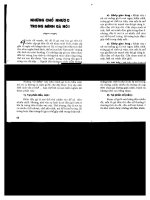 Kỹ thuật chăn nuôi gà Nòi part 9 doc