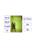 môi trường và các nhân tố tác động đến môi trường