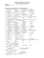 ĐỀ KIỂM TRA BÁN KỲ II – LỚP 12 Môn : Anh văn ppsx