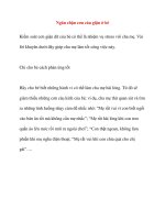 Ngăn chặn cơn cáu giận ở bé pptx