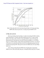 Luận văn IT về mạng 2G - 3G hiện nay - 6 potx