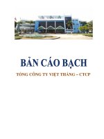 bản cáo bạch tổng công ty việt thắng ctcp chào bán cổ phiếu ra công chúng