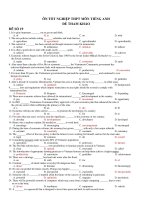 ÔN TỐT NGHIỆP THPT MÔN TIẾNG ANH ĐỀ THAM KHẢO - ĐÊ SỐ 19 ppt