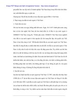 Vai trò FDI trong tổng thể chiến lược phát triển kinh tế Việt Nam - 3 pps