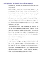 Hạch tóan vốn bằng tiền tại Cty cổ phần kỹ thuật Thủy sản - 3 doc