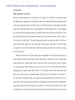 Đẩy nhanh tăng trưởng kinh tế nâng cao đời sống tinh thần vật chất cho nhân dân - 1 docx