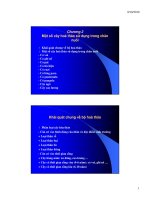 Bài giảng cây thức ăn : Một số cây hoà thảo sử dụng trong chăn nuôi part 1 ppsx