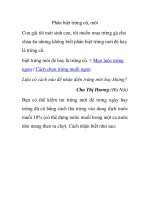 Phân biệt trứng cũ, mới doc