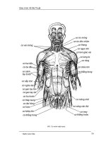 Giáo trình Vẽ Mỹ Thuật : VẼ BÚT SẮT part 4 pot