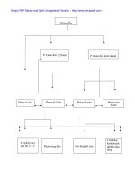 Kiến nghị nhằm nâng cao họa động kinh doanh xuất nhập khẩu tại Cty Vinatex Đà Nẵng - 5 pot