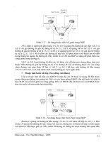Giáo trình phân tích giao thức phân giải địa chỉ ngược RARP p3 pps