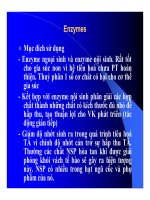 Thức ăn bổ sung cho vật nuôi : Thức ăn bổ sung mang tính chất chăn nuôi (phụ gia chăn nuôi) part 3 pps