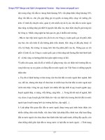 Vai trò FDI trong tổng thể chiến lược phát triển kinh tế Việt Nam - 5 docx