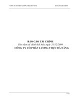BÁO cáo tài CHÍNH cho năm tài chính kết thúc ngày 31 tháng12 năm 2008 CÔNG TY cổ PHẦN LƯƠNG THỰC đà NẴNG