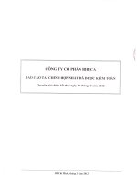 công ty cổ phần bibica báo cáo tài chính kết thúc ngày 31 tháng 12 năm 2012