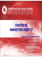 Chuyên đề marketing điện tử pdf