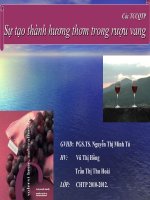 Sự tạo thành hương thơm trong rượu vang potx