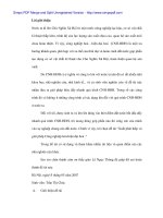 Xuất phát thấp và giải pháp cho đổi mới ở Việt Nam - 1 pps