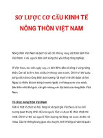 SƠ LƯỢC CƠ CẤU KINH TẾ NÔNG THÔN VIỆT NAM_1 pdf