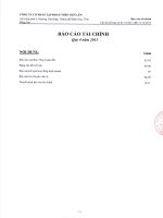 Báo cáo tài chính qúy 4 năm 2013 công ty cổ phần tập đoàn thép tiến lên